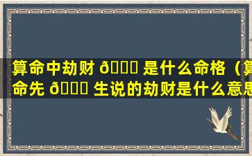 算命中劫财 🐟 是什么命格（算命先 🐅 生说的劫财是什么意思）